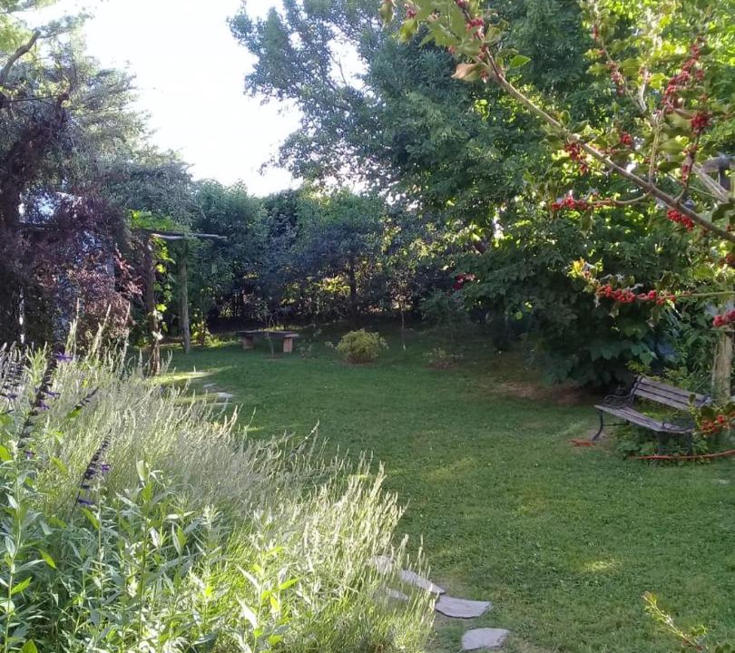 Photo of Outdoor in Vistalba