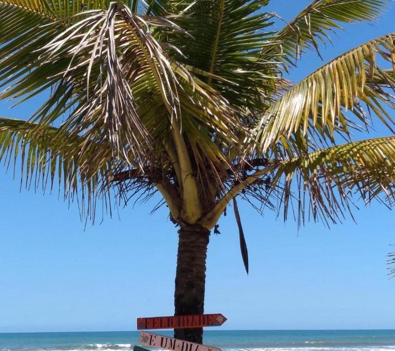 Photo of Others in Florida