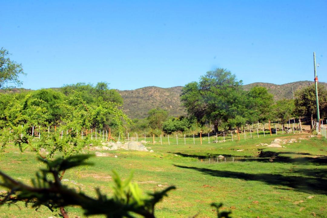 Photo of Others in San Marcos Sierra