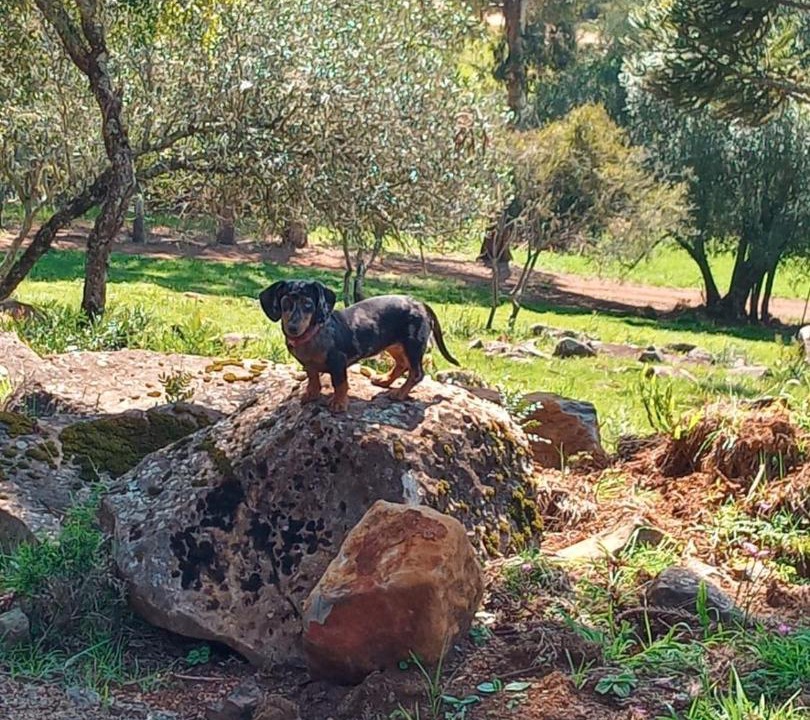 Photo of Others in Urupema
