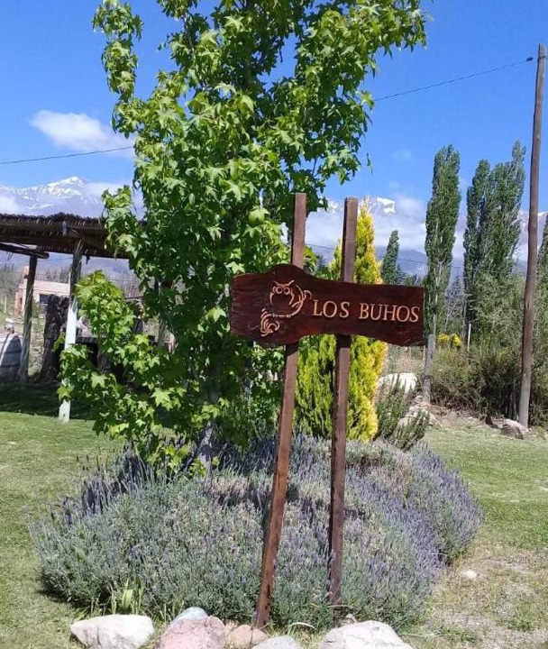 Photo of Others in Potrerillos