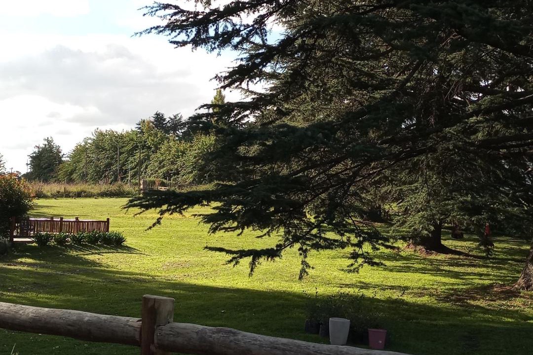 Photo of Others in Tandil