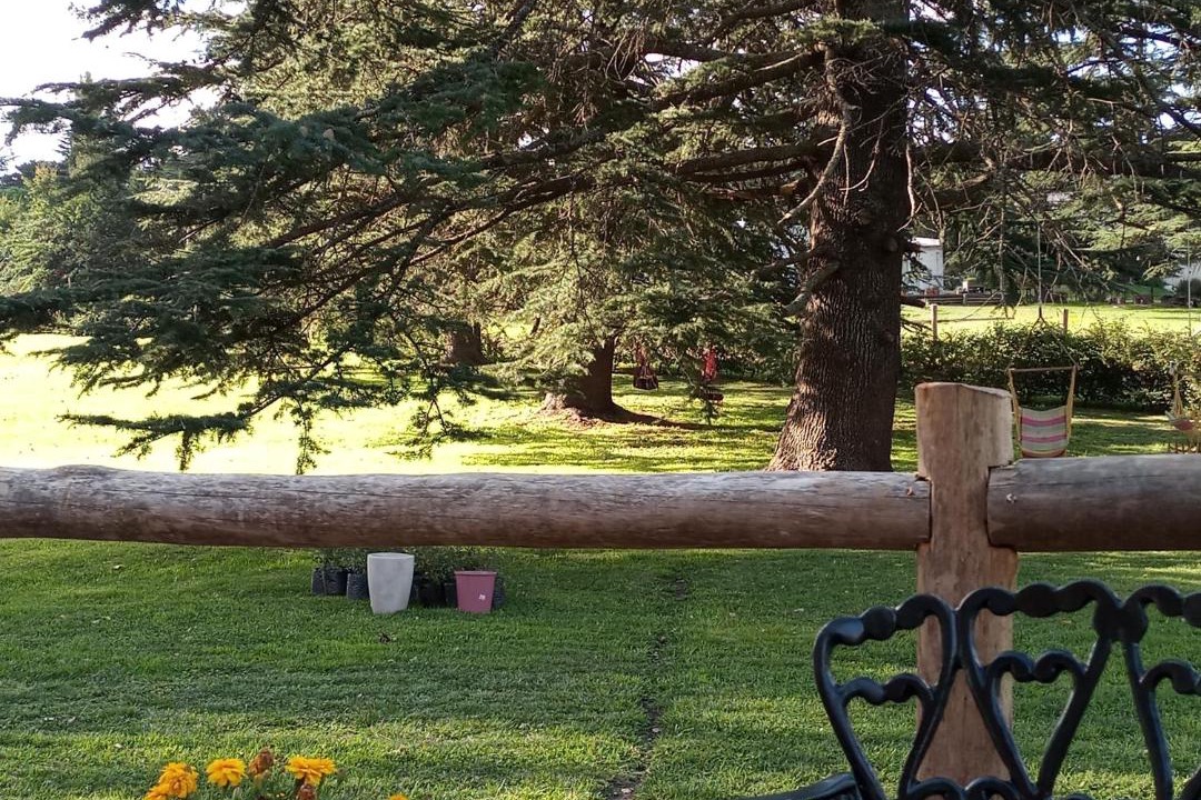 Photo of Others in Tandil