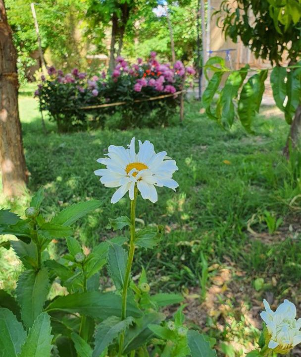 Photo of Others in Barreal