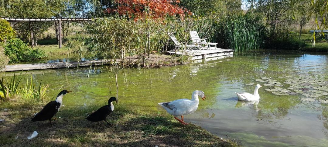 Photo of Others in San Antonio de Areco