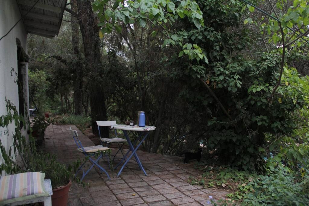 Photo of Patio Balcony in Chacras de Coria