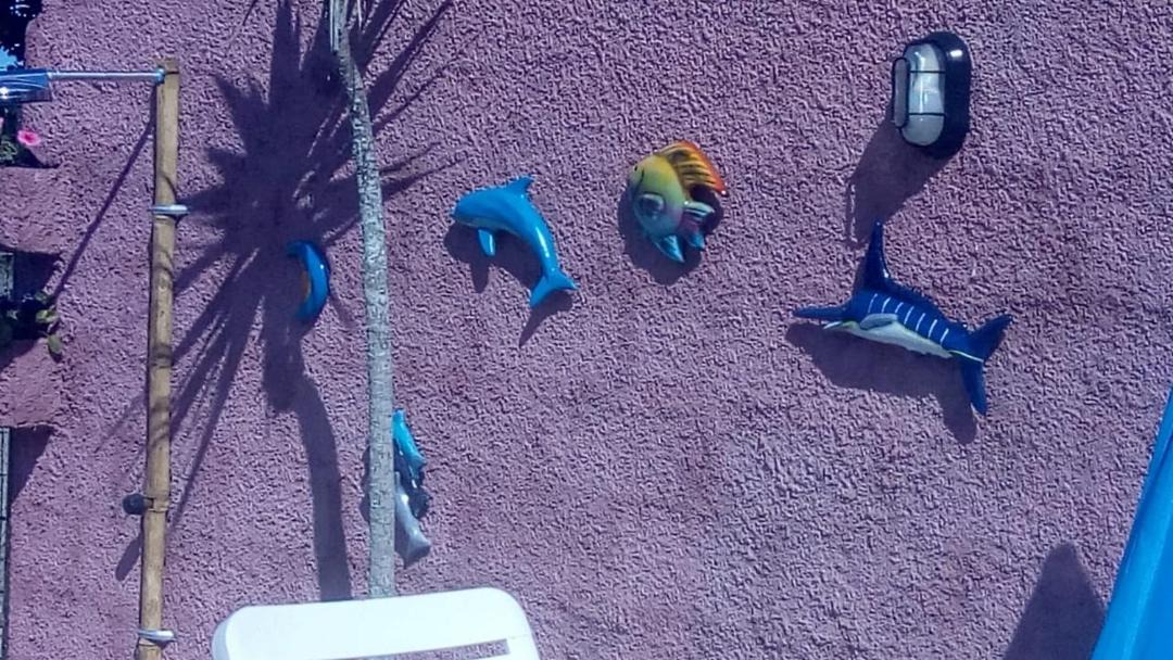 Photo of Others in Vila da Gloria