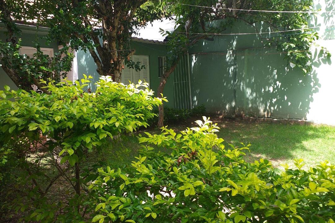 Photo of Others in Menino Deus