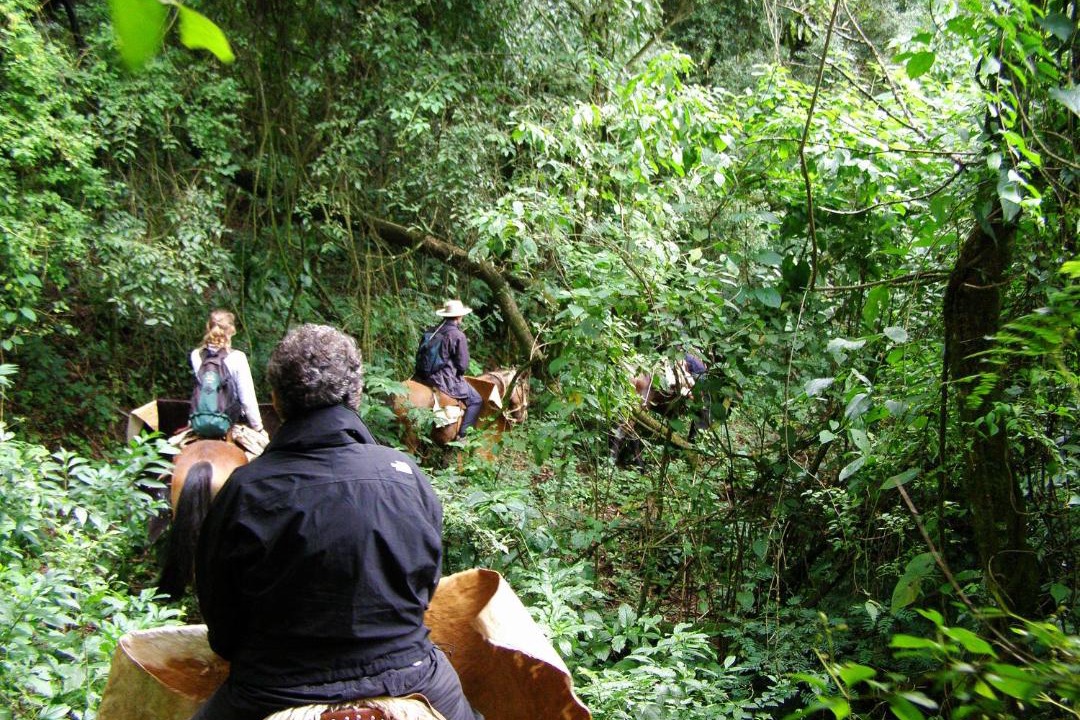 Photo of Others in Santa Barbara Department