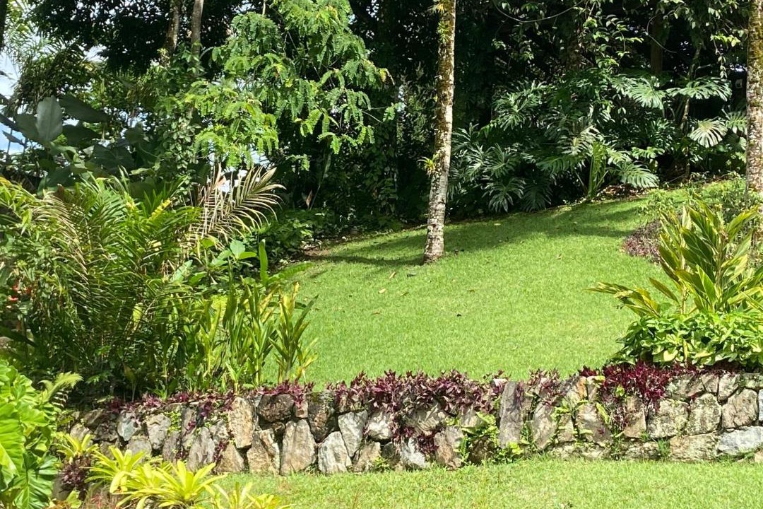 Photo of Others in Pontal