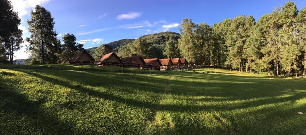 Photo of Others in Camanducaia