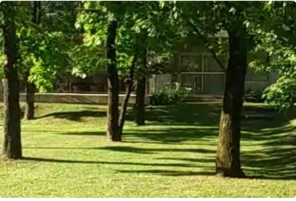 Photo of Others in Pilar Centro
