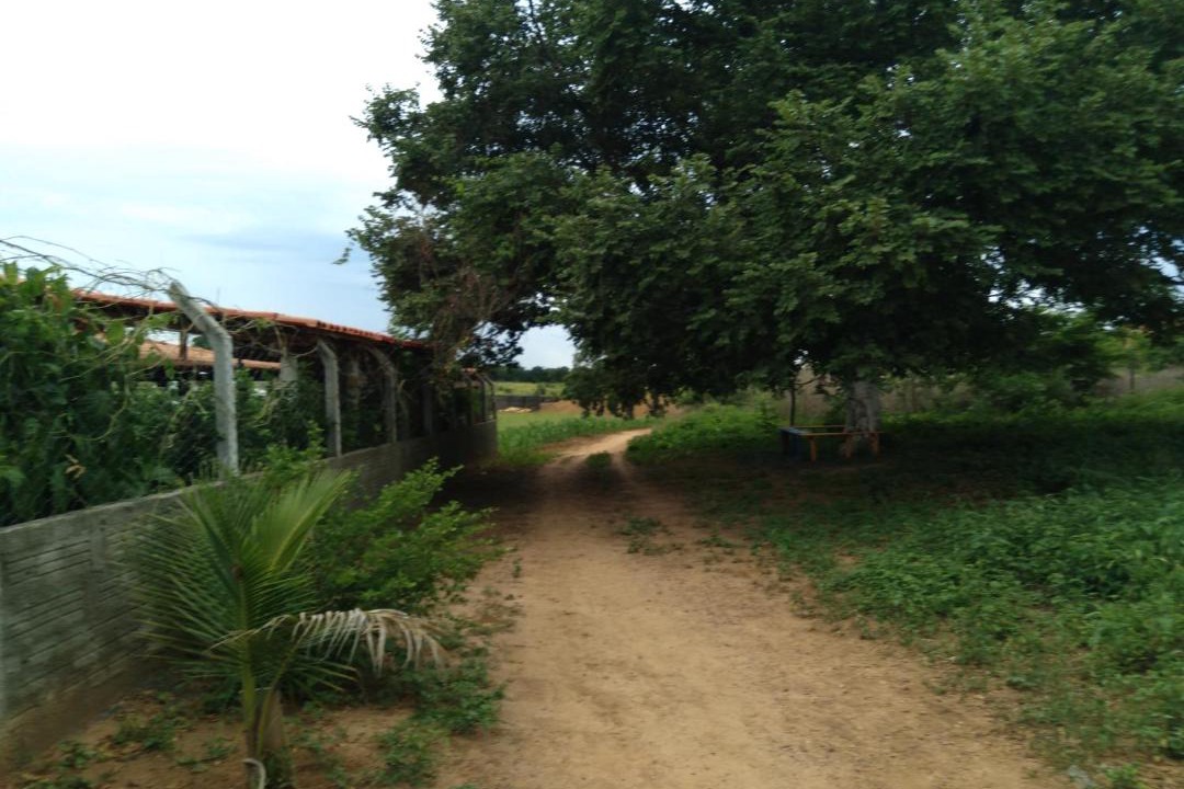 Photo of Others in Itacarambi