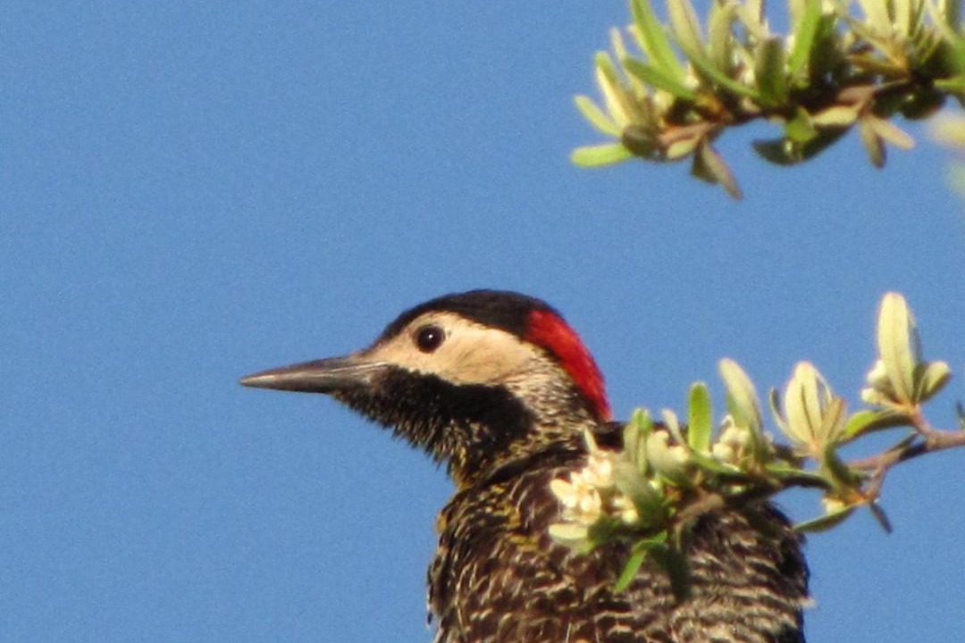Photo of Others in Huerta Grande
