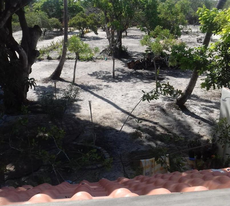 Photo of Others in Caicara