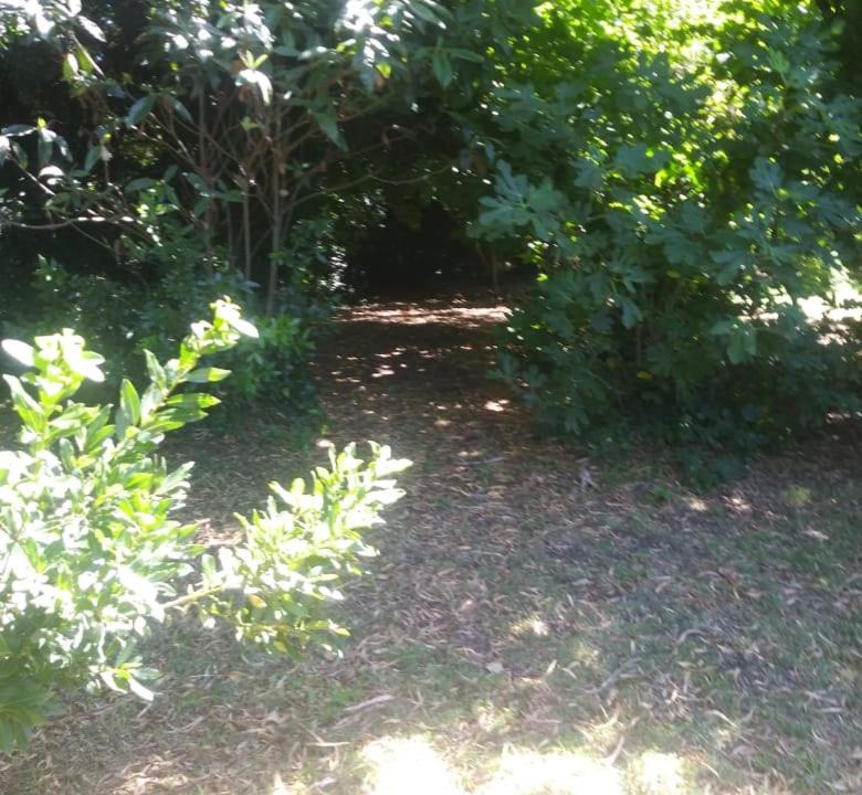 Photo of Others in Tandil