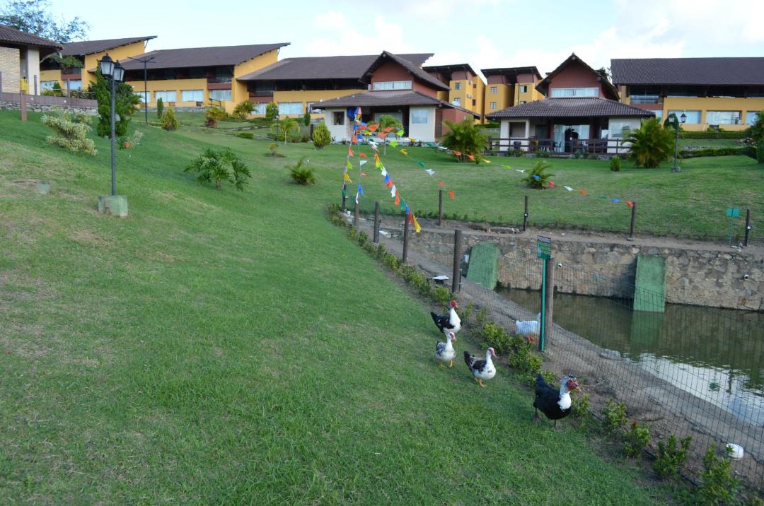 Photo of Others in Novo Gravata