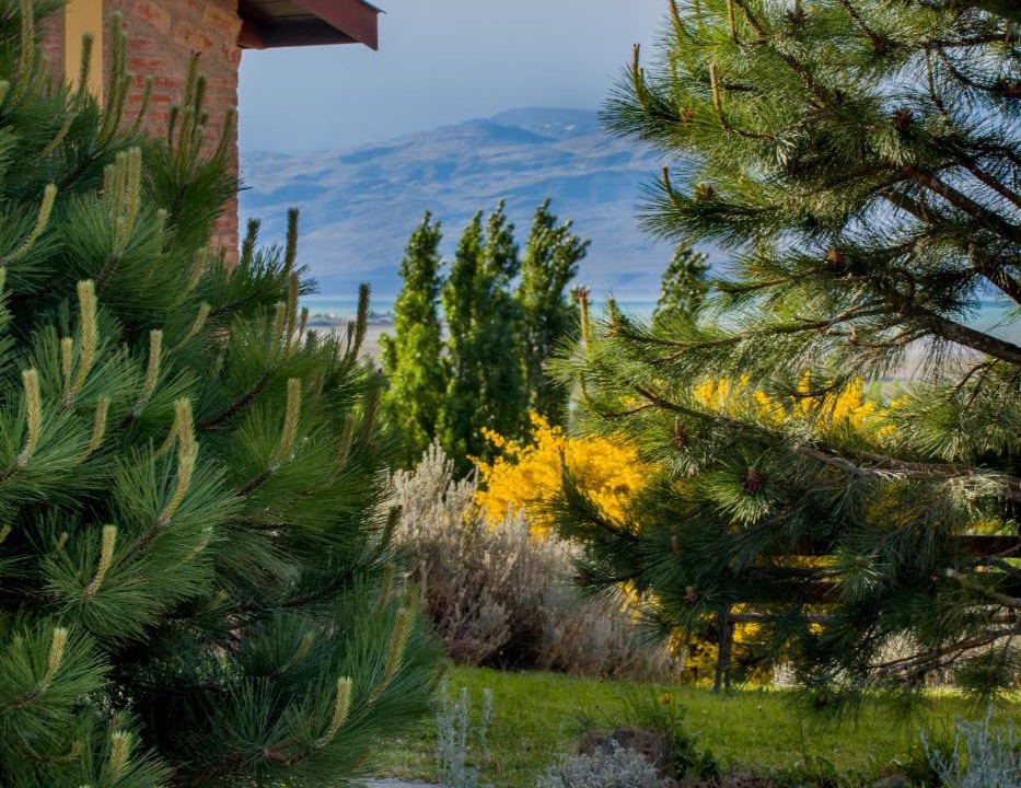 Photo of Others in Macrozona Meseta Cerro Calafate