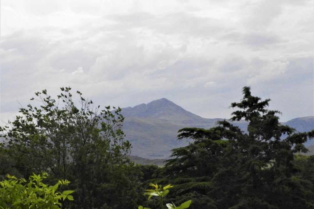 Photo of Others in Sierra de la Ventana