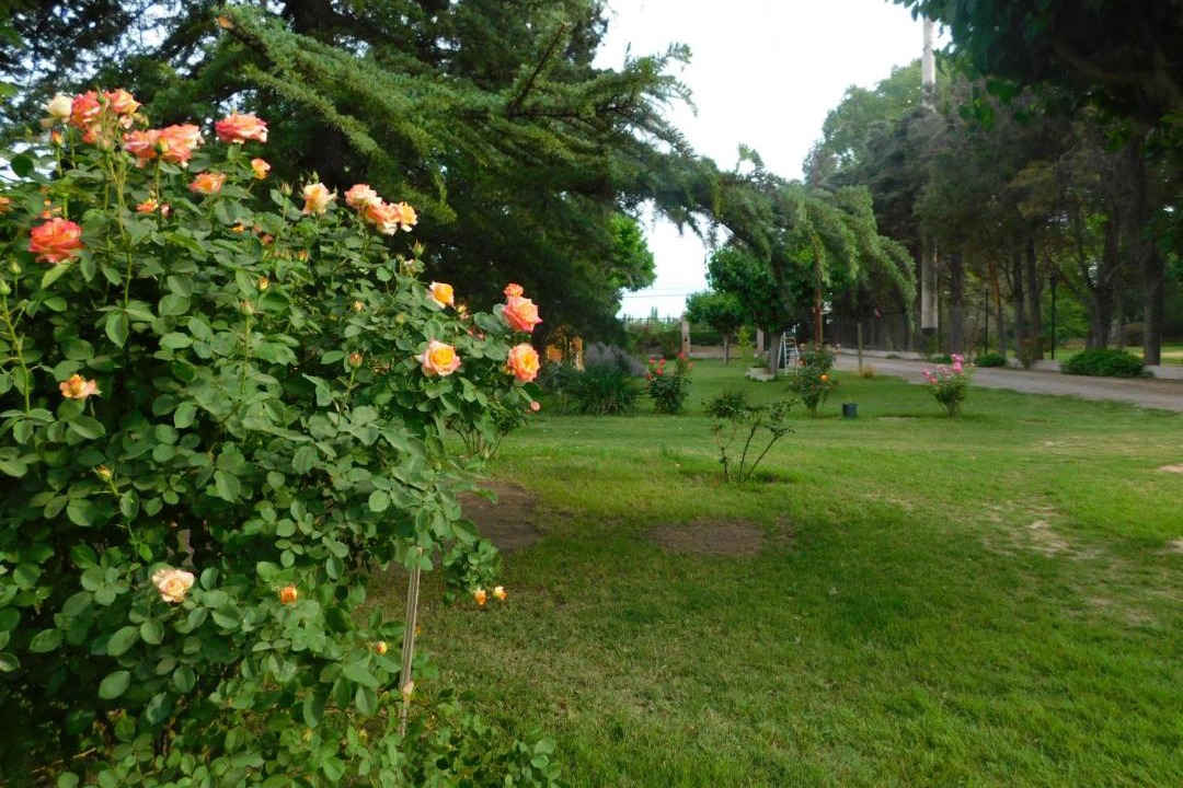 Photo of Others in Guaymallen