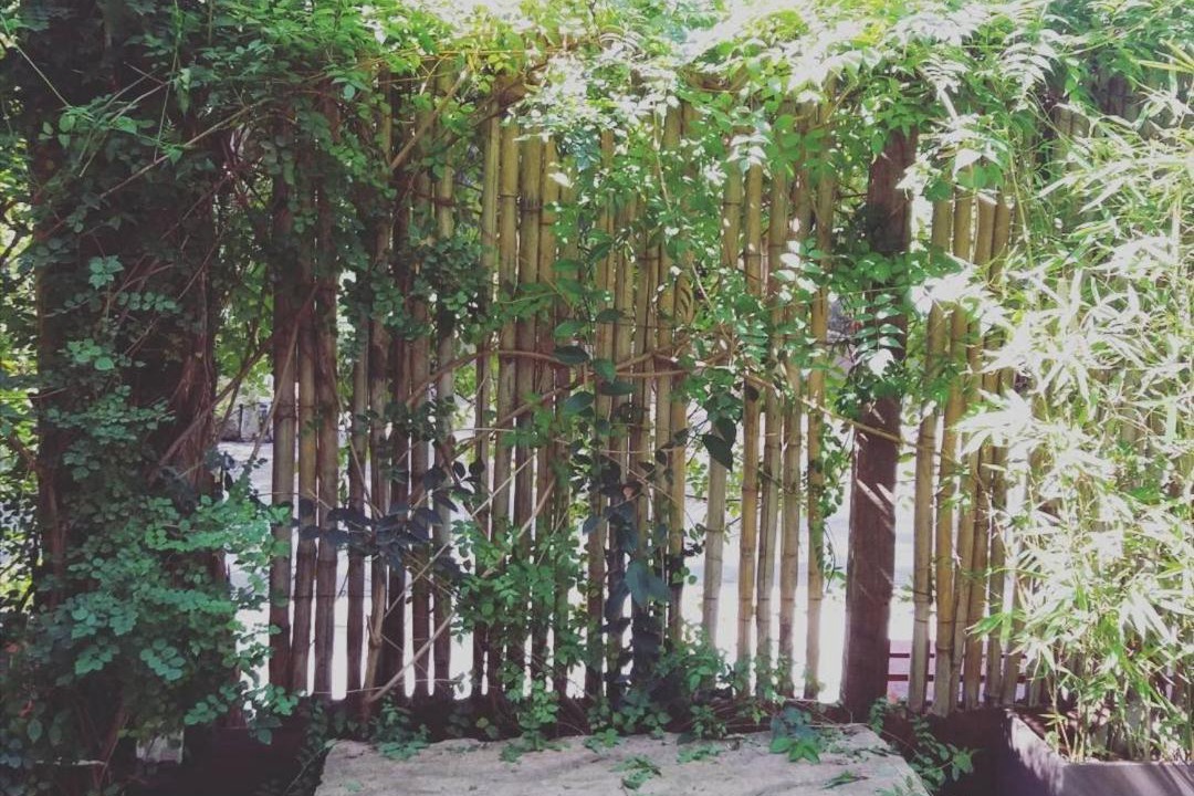 Photo of Others in Bosque Peralta Ramos