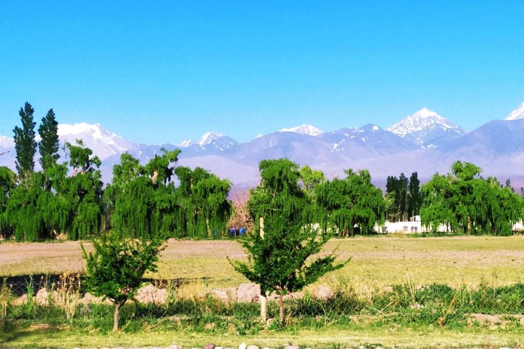 Photo of Others in Barreal