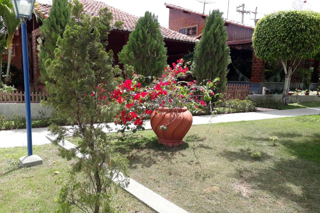 Photo of Others in Novo Gravata