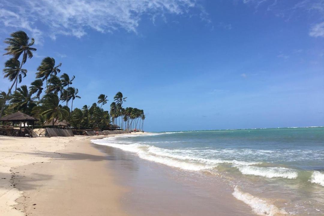 Photo of Others in Praia dos Carneiros
