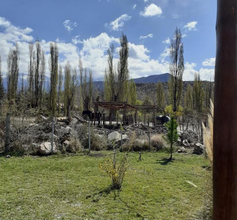 Photo of Others in Potrerillos