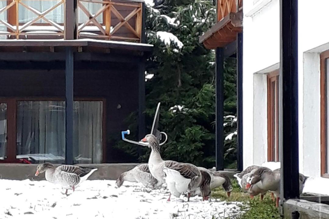 Photo of Others in Dina Huapi