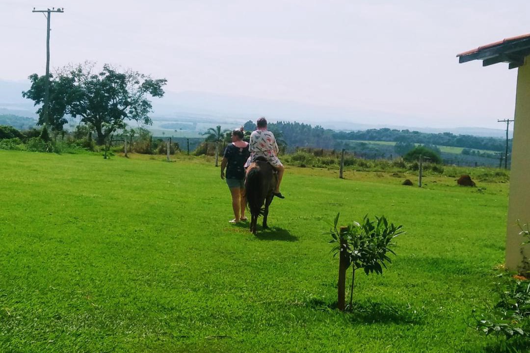 Photo of Others in Cassia