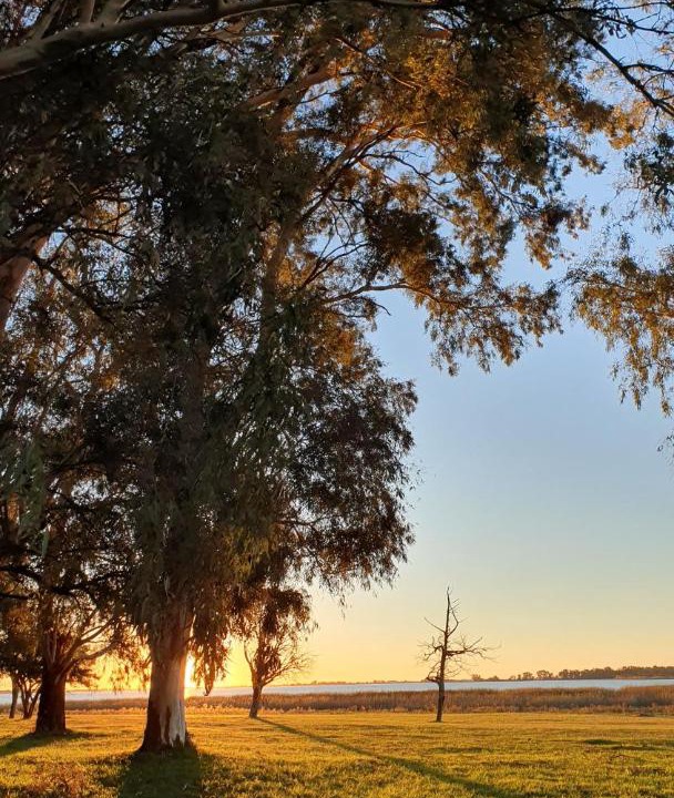 Photo of Others in Chascomus