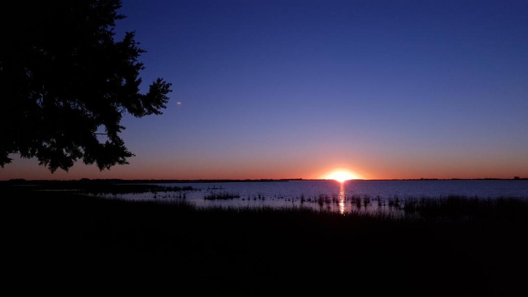 Photo of Others in Chascomus