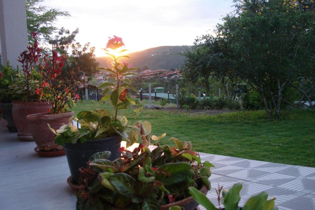 Photo of Others in Novo Gravata