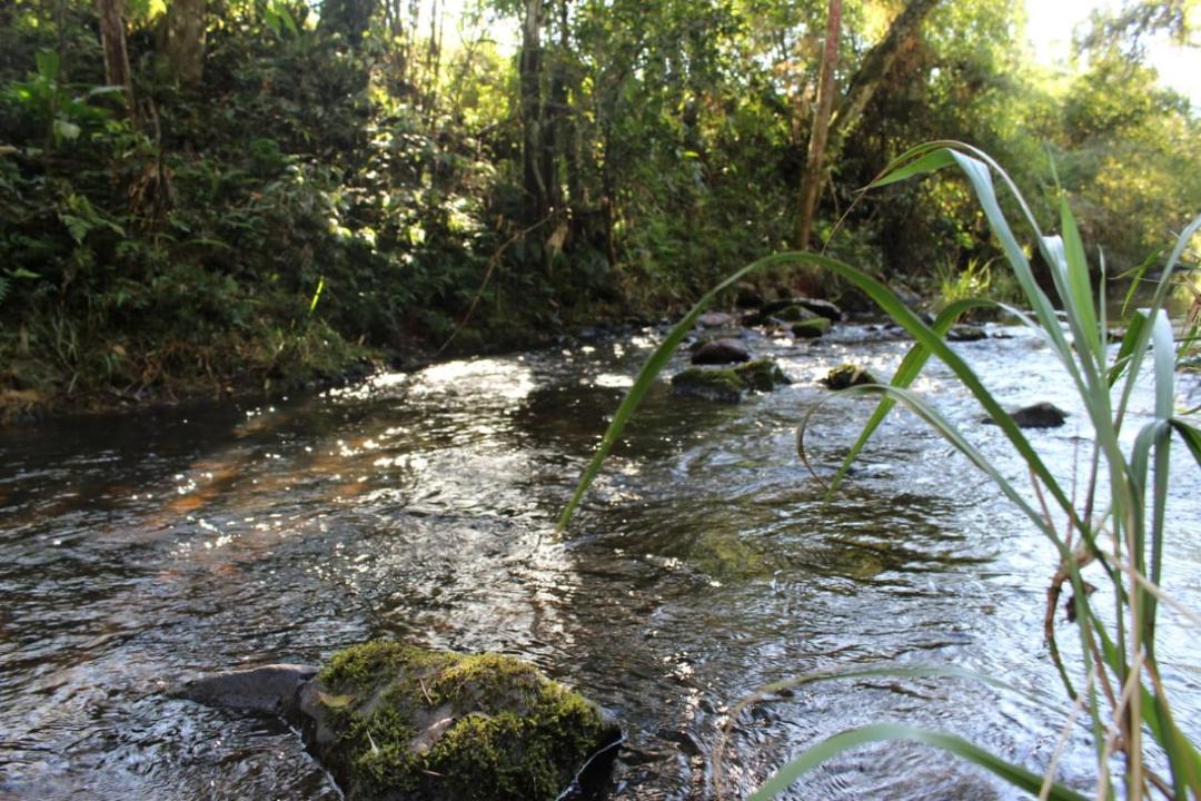 Photo of Others in El Soberbio