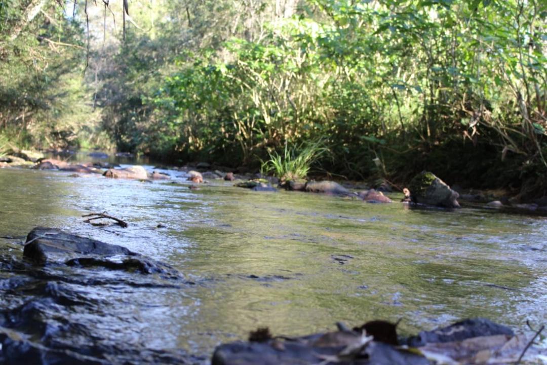 Photo of Others in El Soberbio