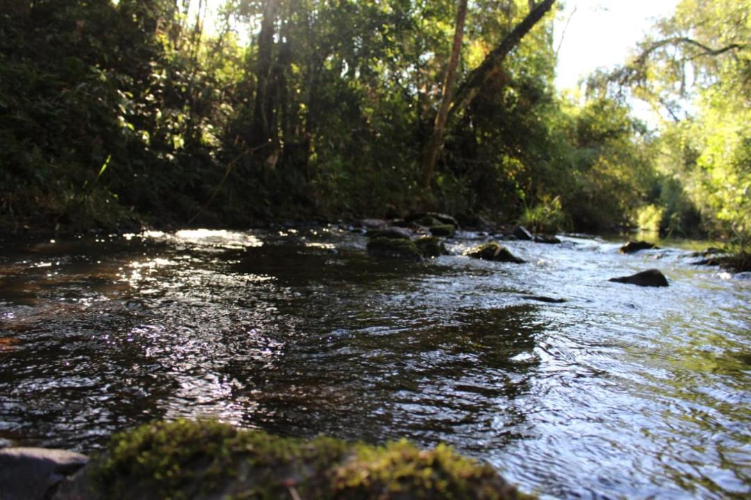 Photo of Others in El Soberbio