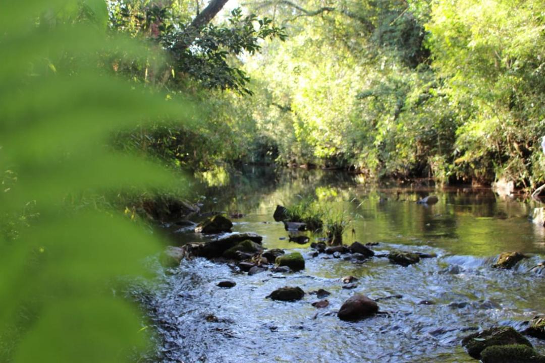 Photo of Others in El Soberbio