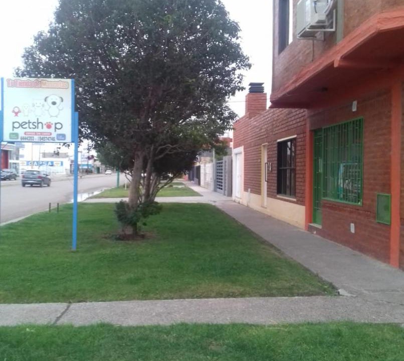Photo of Others in Trelew