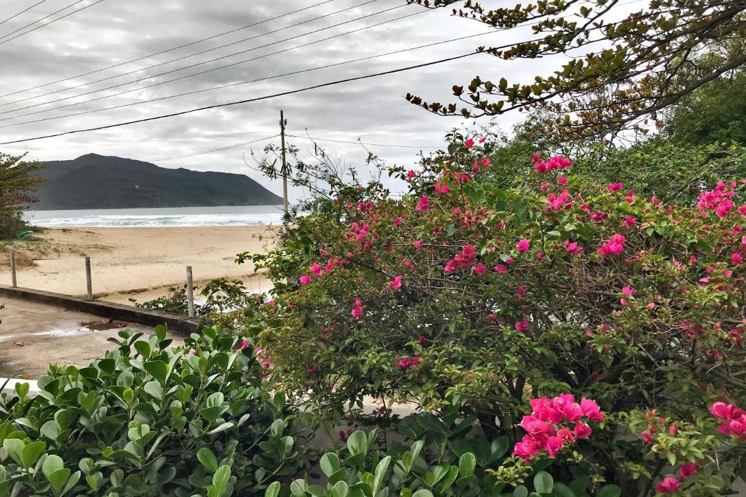 Photo of Others in Florianopolis