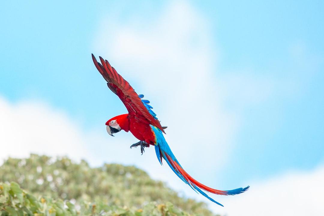 Photo of Others in Puerto Valle