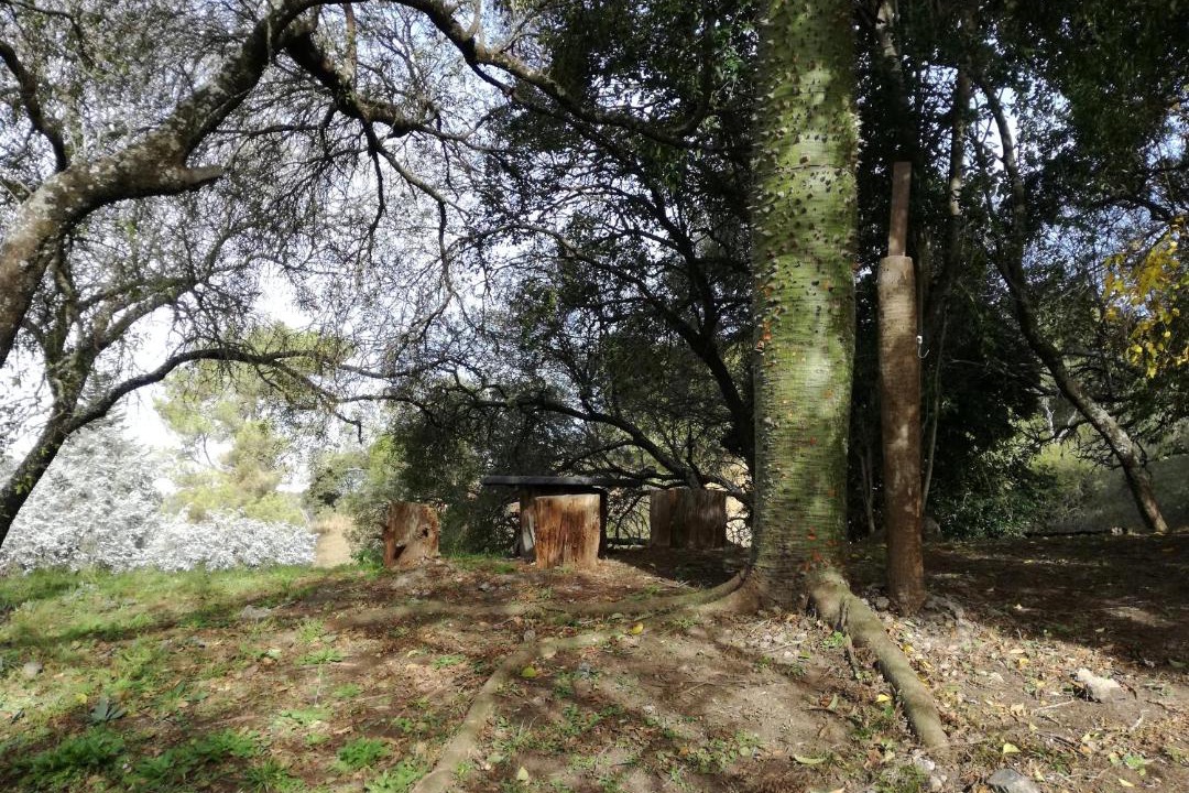 Photo of Others in La Granja
