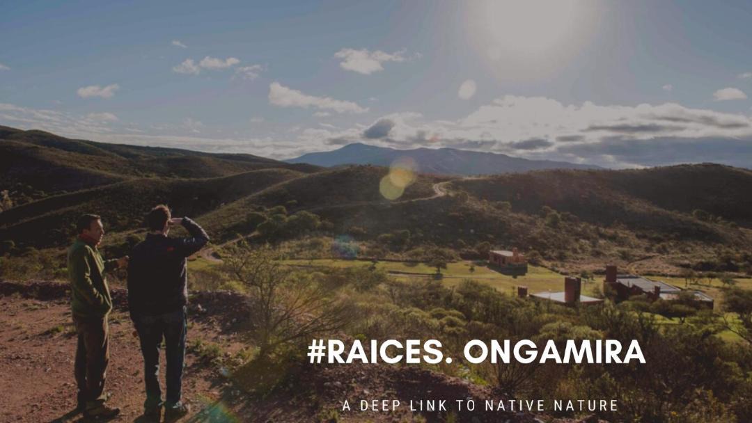 Photo of Others in Ongamira