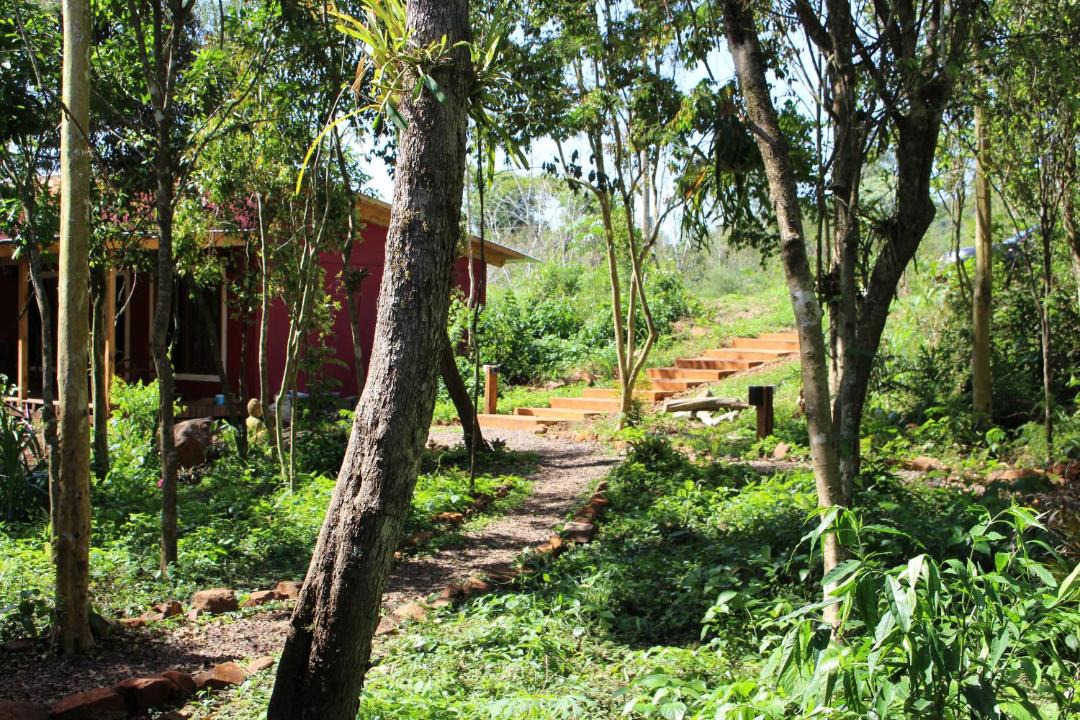 Photo of Others in El Soberbio
