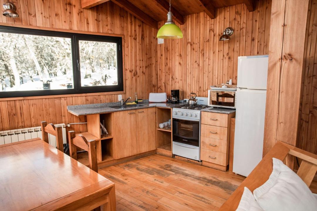 Photo of Others in Lanin National Park