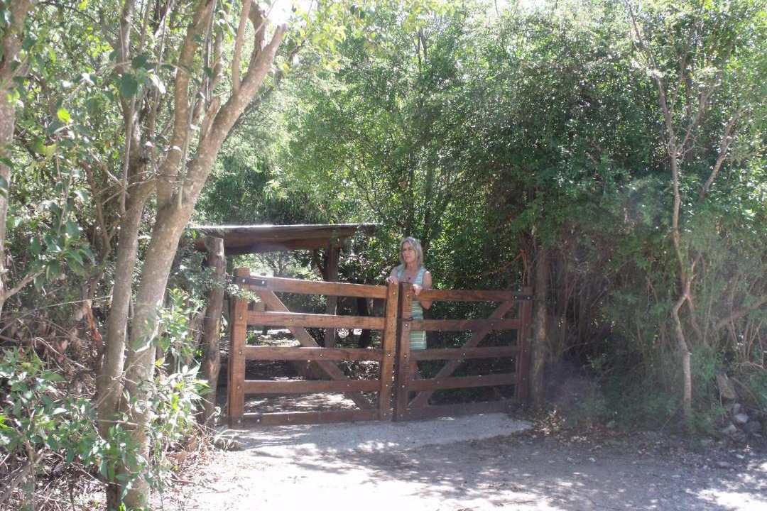 Photo of Others in San Javier