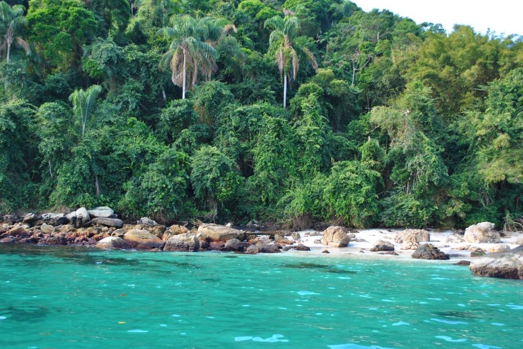Photo of Outdoor in Mambucaba