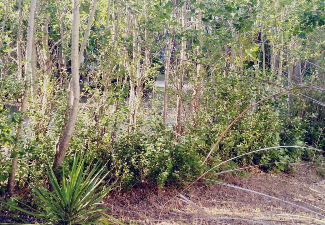 Photo of Outdoor in Mar Azul