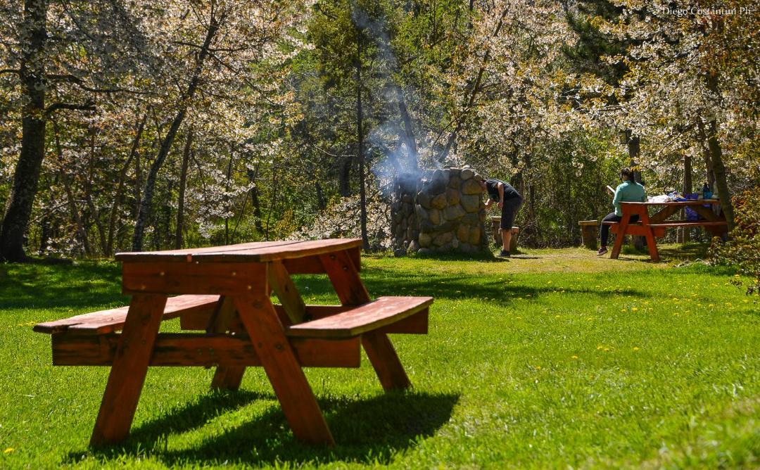 Photo of Others in Lanin National Park
