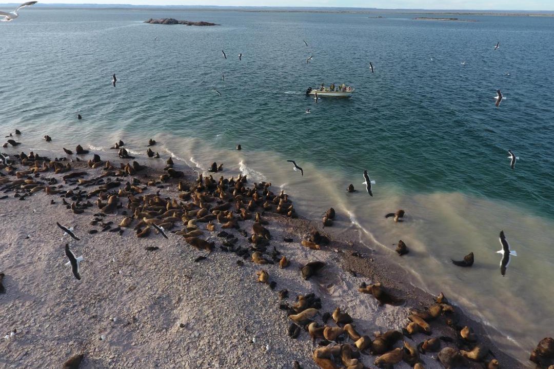 Photo of Others in Bahia Bustamante